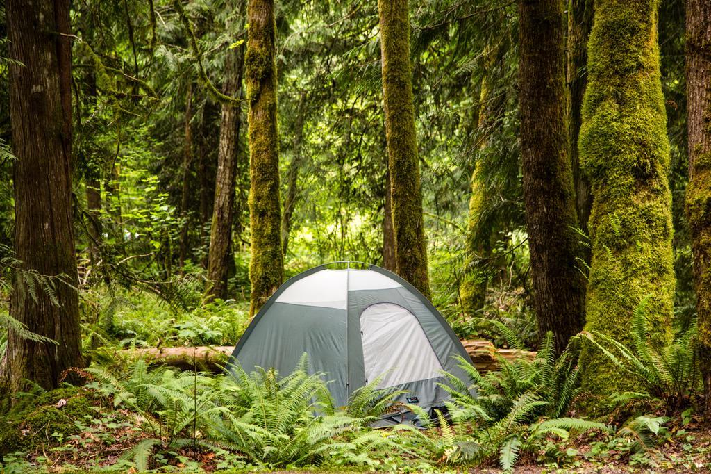 Mount Hood Village Yurt 1 Extérieur photo
